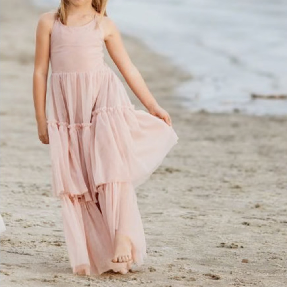 NWT Indie Blue Wendy Tulle Dress Soft Pink 6T